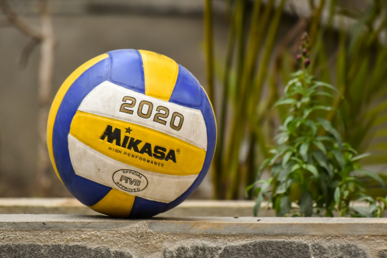 Top 7 Most Famous Volleyball Players - AfterSportz